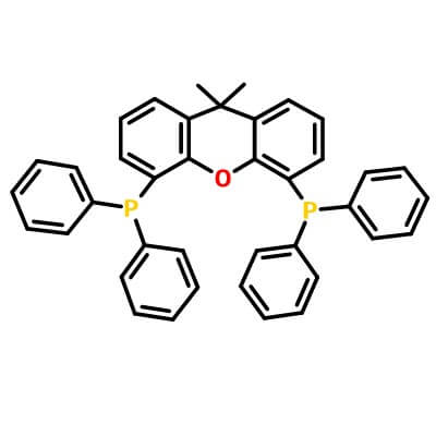 Dimethylbisdiphenylphosphinoxanthene, 161265-03-8