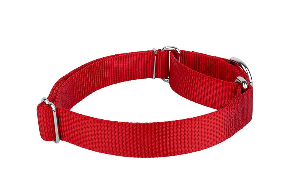 L204-1 Dog Collars /Choke Martingale Dog Collar