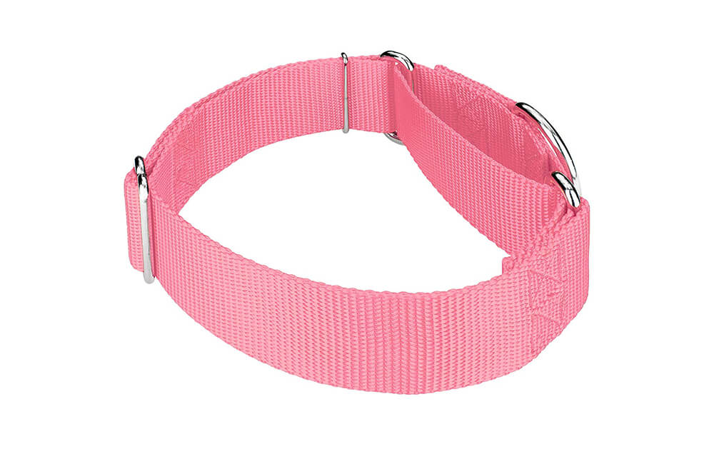 L204-1 Dog Collars /Choke Martingale Dog Collar