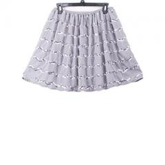 Silver Sequin Embroidery Skirt