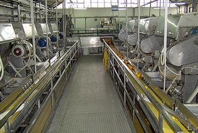 Citrus Processing Line
