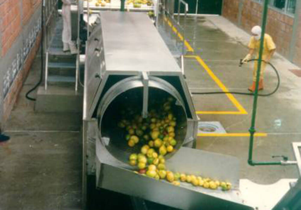 خط إنتاج فاكهة زهرة الآلام والجوافة