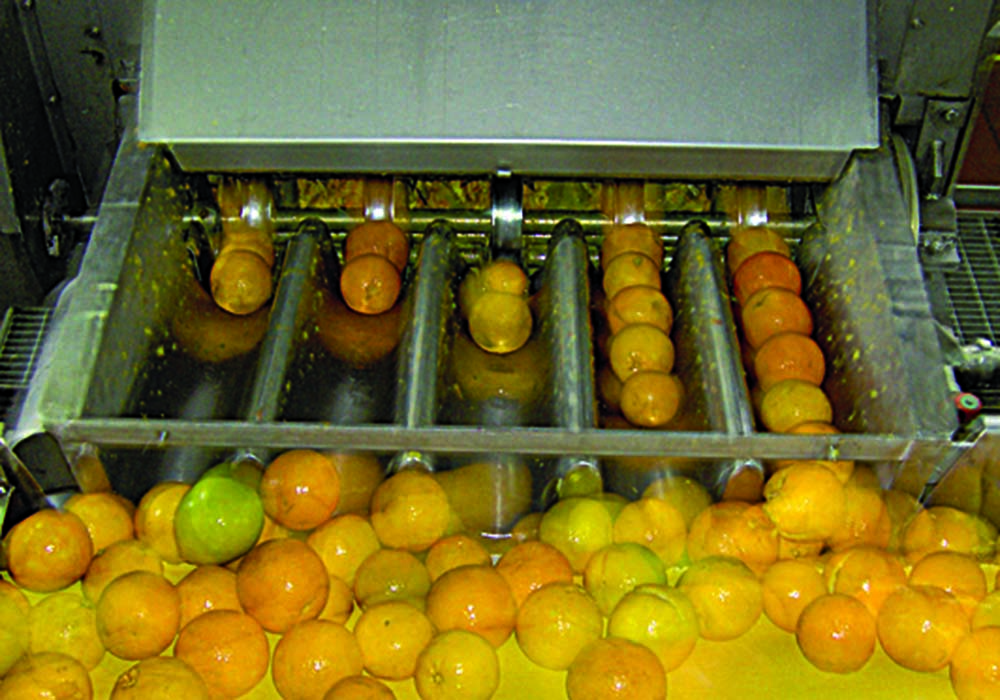 Citrus/Orange/lemon Processing Line