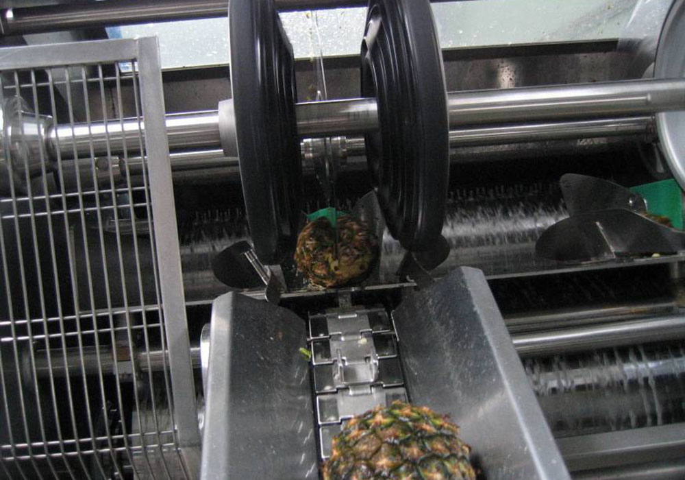 Mango/Pineapple Juice Processing Plant
