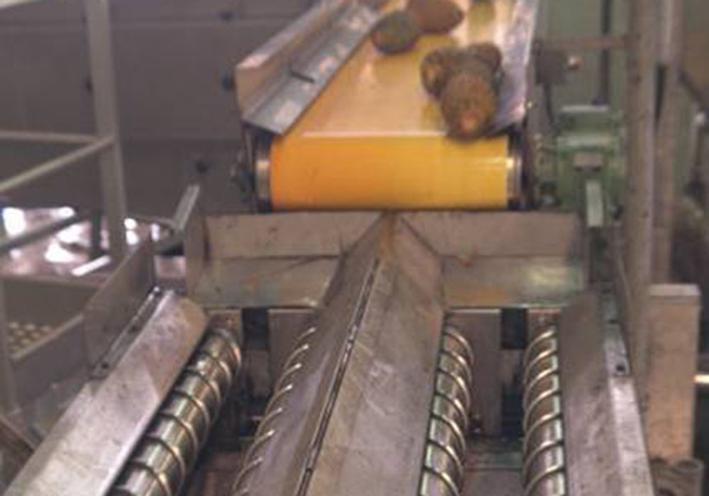 Завод по переработке манго/ананасового сока
