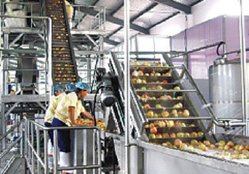 Apricot/Plum/Peach Beverage Processing Line