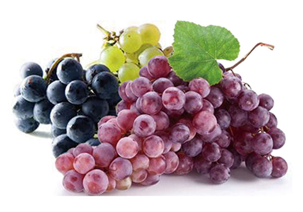 Линия по производству виноградных напитков