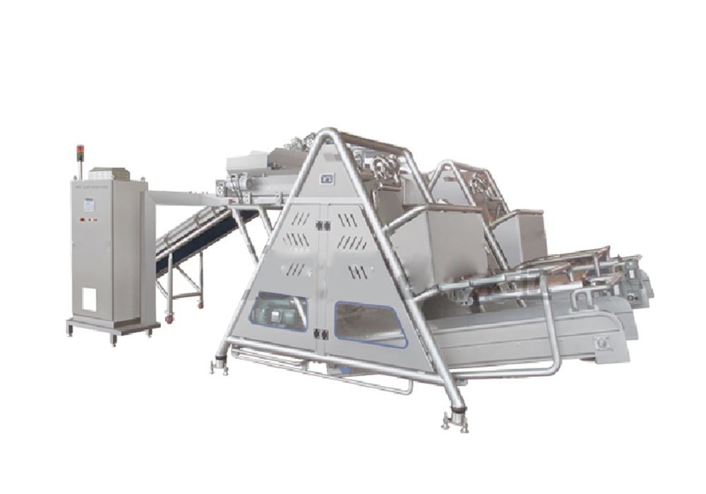 Dried Vegetable/Fruit Processing Line