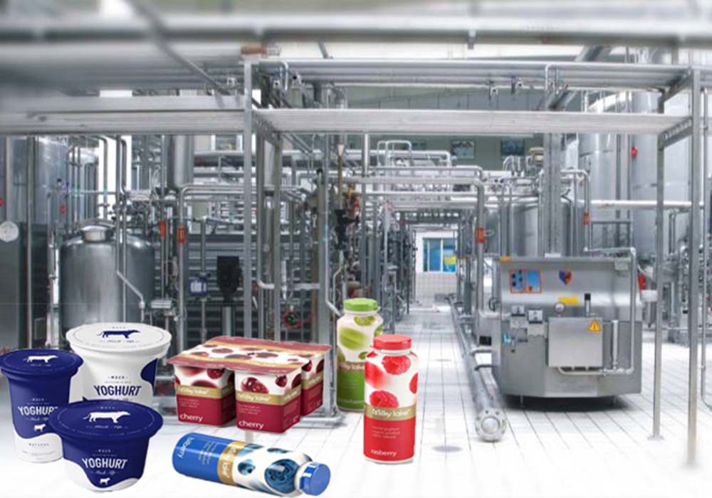 Yogurt Production Plant