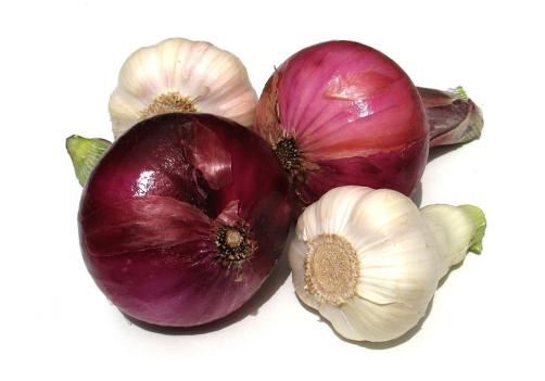 Onion/Garlic Paste Processing Line