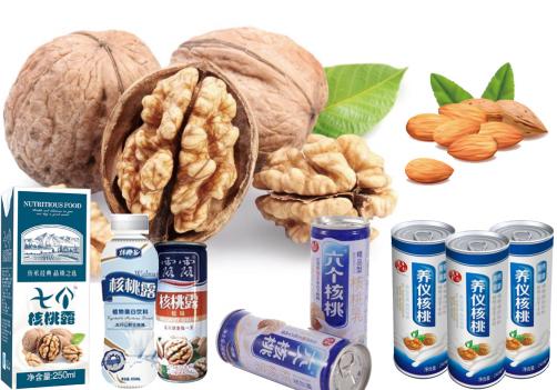 Peanut/ Walnut Milk Beverage Processing Line