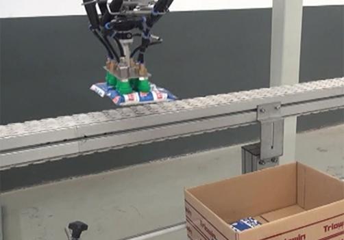 Picking and Packing System