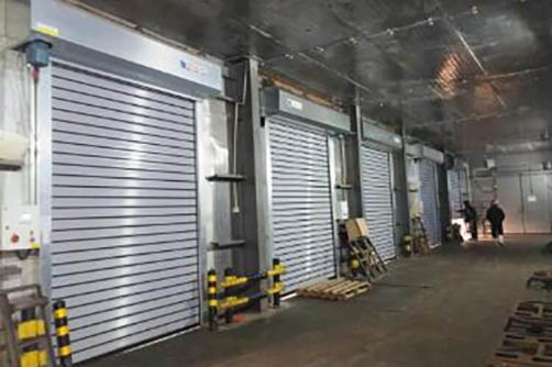 Intelligence Frequency Roller Door