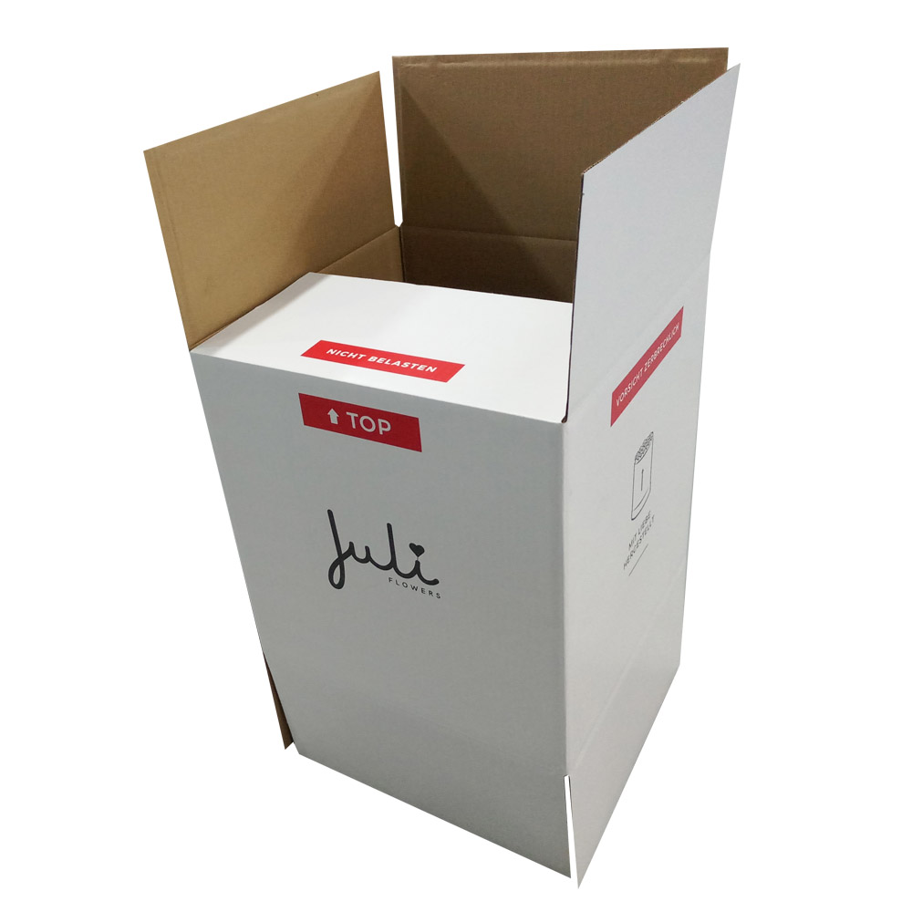 Heavy RSC Carton Box