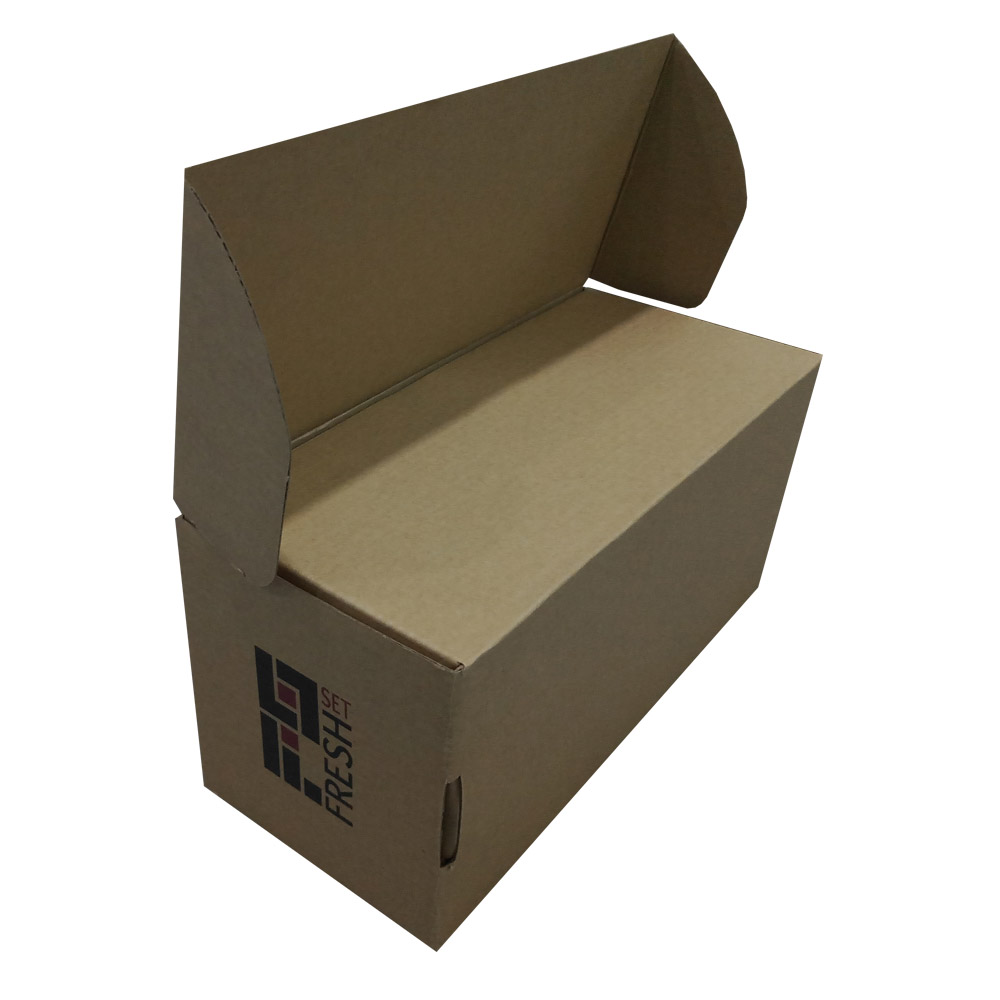 Kraft Mailer Box With Logo Printing