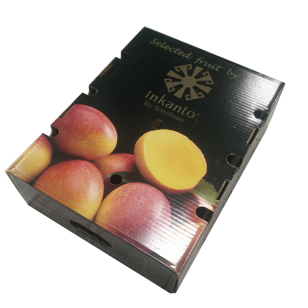 Strong Fruit Packing Box