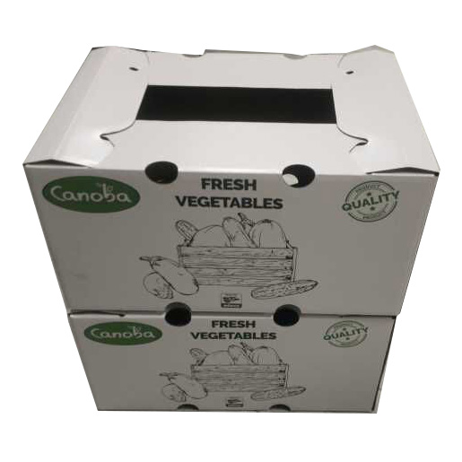 3-5 Layers Corrugated Vegetable Paper Packing Box