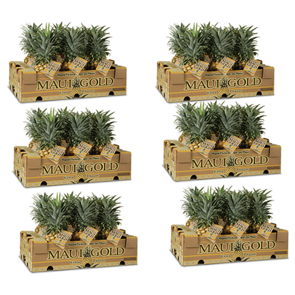 Pineapple Carton