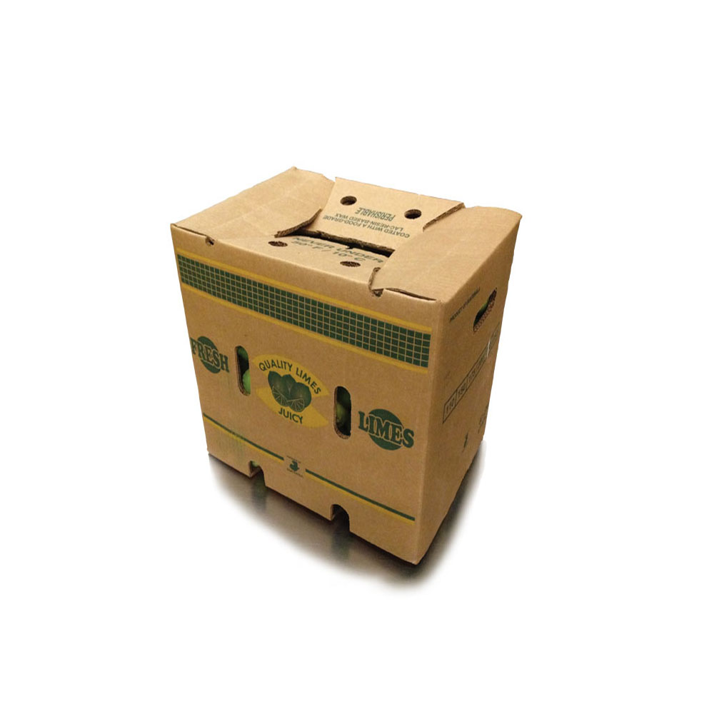 Custom avocado 5-ply carton box