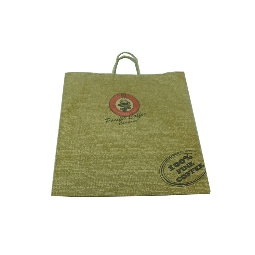 Custom Printing Kraft Paper Gift Bag For Shopping Usage