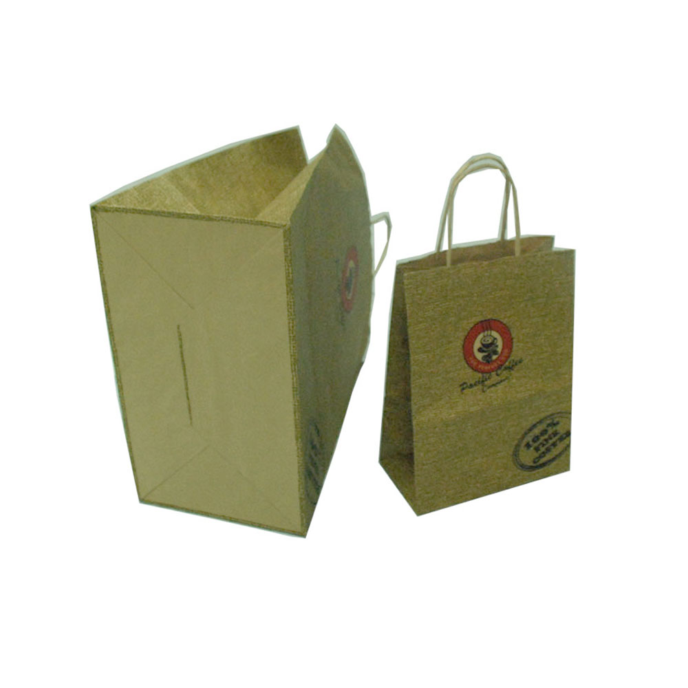 Custom Printing Kraft Paper Gift Bag For Shopping Usage