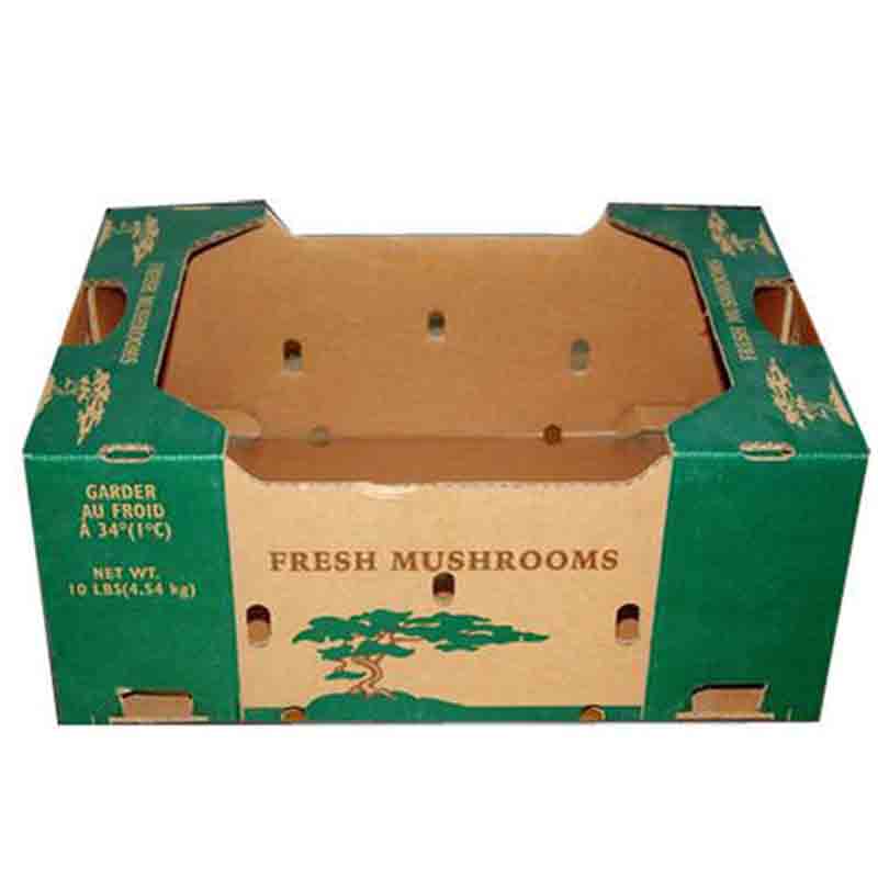 Custom Paper Mushroom Carton