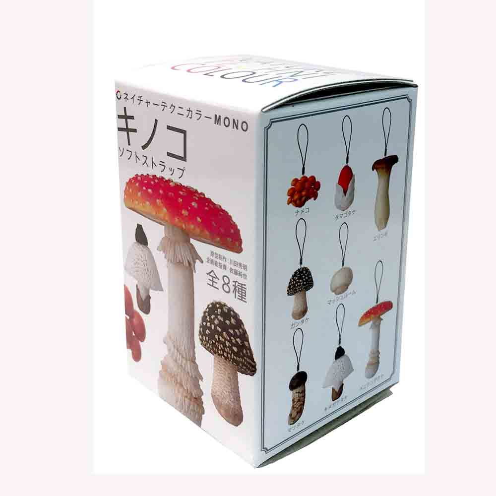 New Design Mushroom Carton