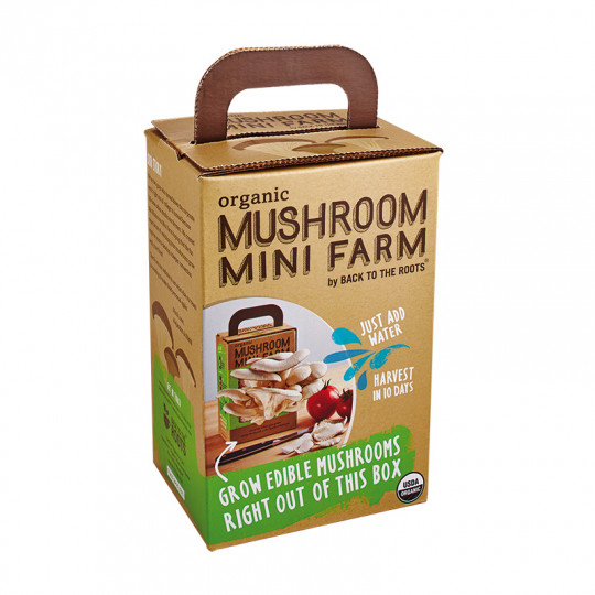 Corrugated Paper Mushroom Carton Box