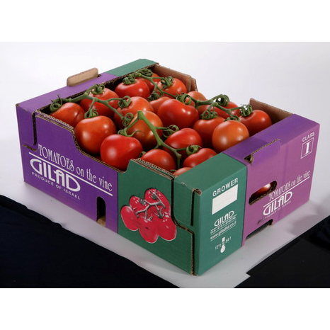 Cartón Corrugado para Tomate, Fabricado a la medida