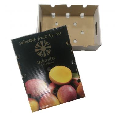 Caja de Embalaje para Fruta fuerte