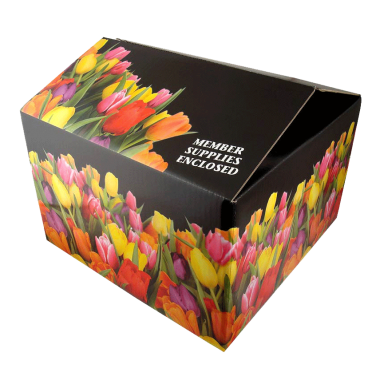 Caja de Flores con Diseño de Moda