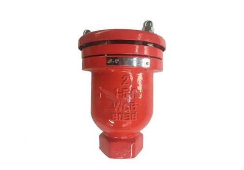 Two Functions Air Valve/ Air Release Valve(Omega) Threaded