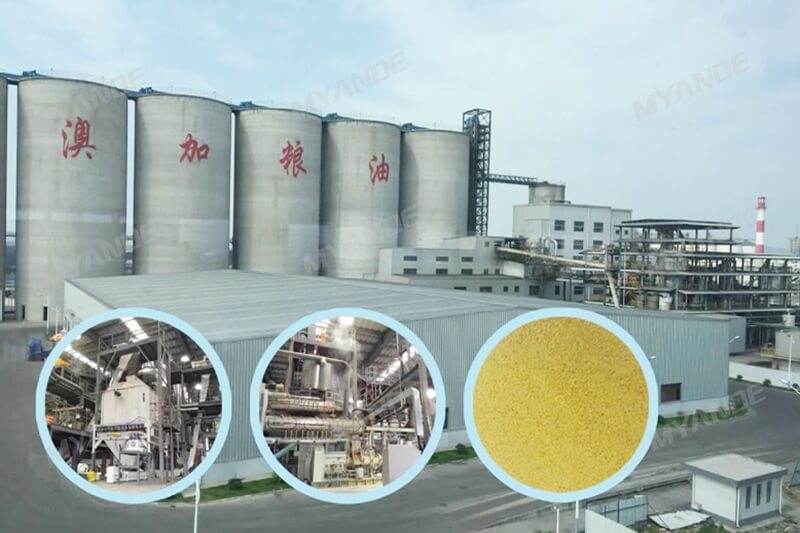 Проект по производству экструдированной соевой муки 250 тонн/день
