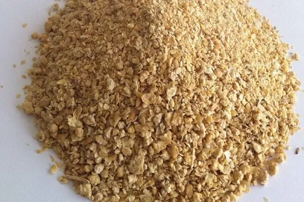 Fermented Corn Gluten Powder Production Line