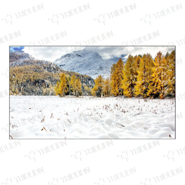 Triolion 0.88mm ultra-narrow LCD splicing screen丨 FHD LCD display丨LCD Video Wall