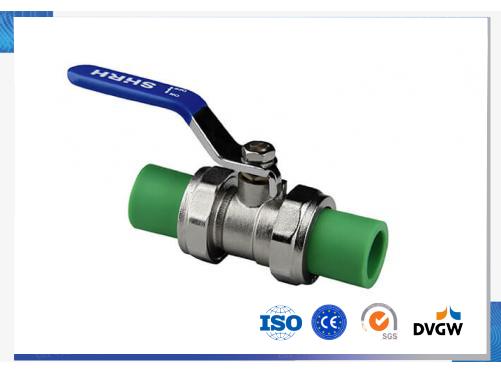 PPR Double End Valve
