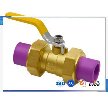 PPR Double End Valve