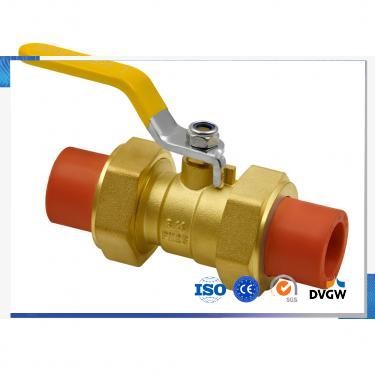 PPR Double End Valve
