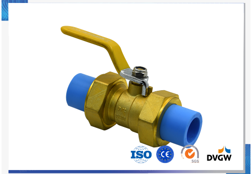 PPR Double End Valve