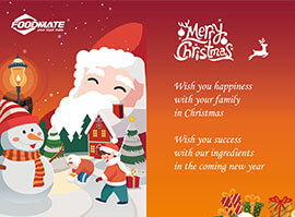 Merry Christmas from Foodmate Factory!