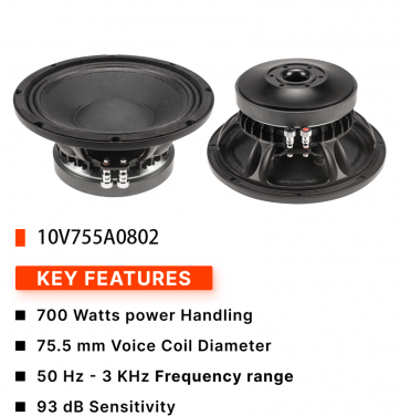 10V755A0802 700W:Car Speaker Manufacturer Suppliers Subwoofer  10 Inch Subwoofer Speakers