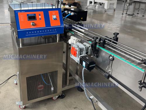 MIC-ZF2 Engine Oil Filling Line(2500 Bottles/H)