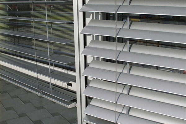 Window Blind