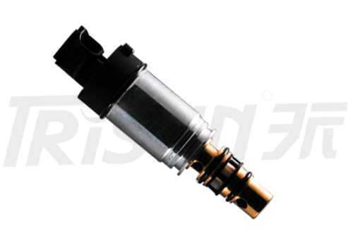 TSECV46O Control Valve