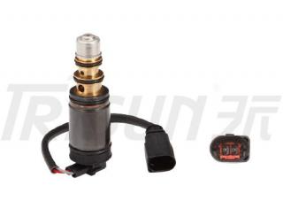 TSECV03 Control Valve
