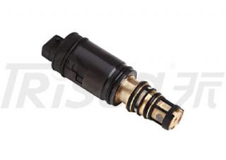 TSECV26 Control Valve