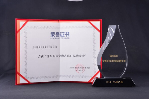 LED Bulb Expert WELLMAX Honored of “Import and Export Brand Enterprise”