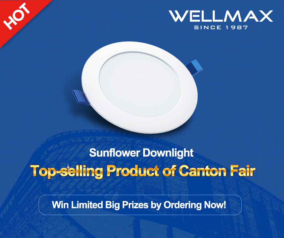 Meet the Best Seller of the Online Canton Fair