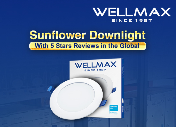 This Product Received a Lot of Praise Globally. Check it out!