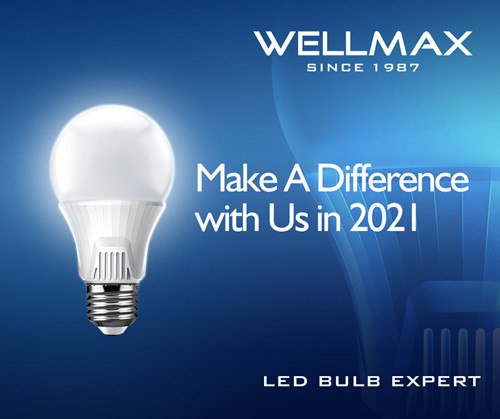 Make A Difference with 'New' WELLMAX in 2021